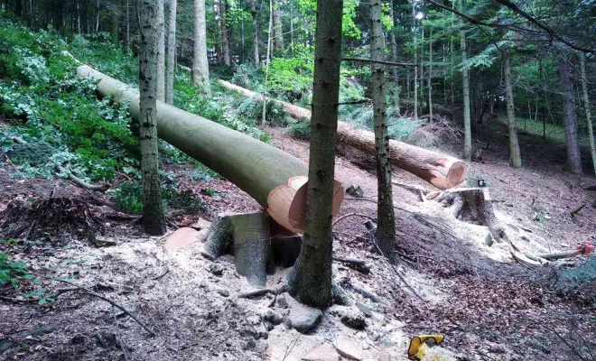 Travaux de gestion des forêts, Grenoble, Arbor'Alpes