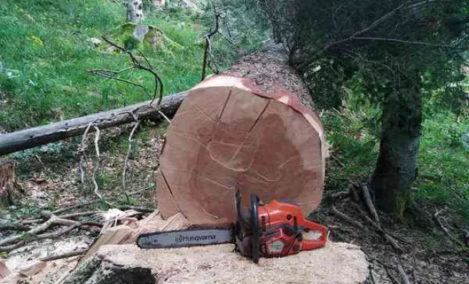 Travaux de gestion des forêts, Grenoble, Arbor'Alpes