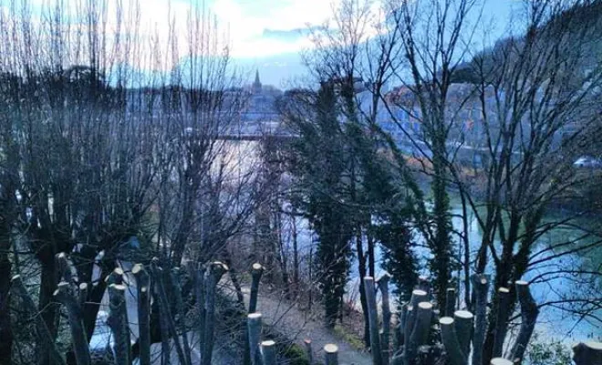 Travaux de soins aux arbres, Grenoble, Arbor'Alpes