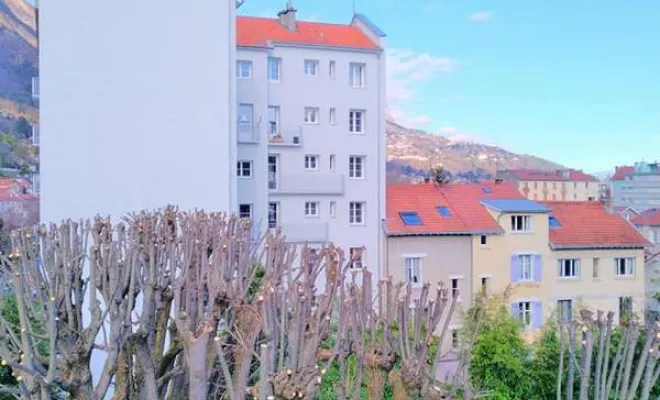 Travaux de soins aux arbres, Grenoble, Arbor'Alpes